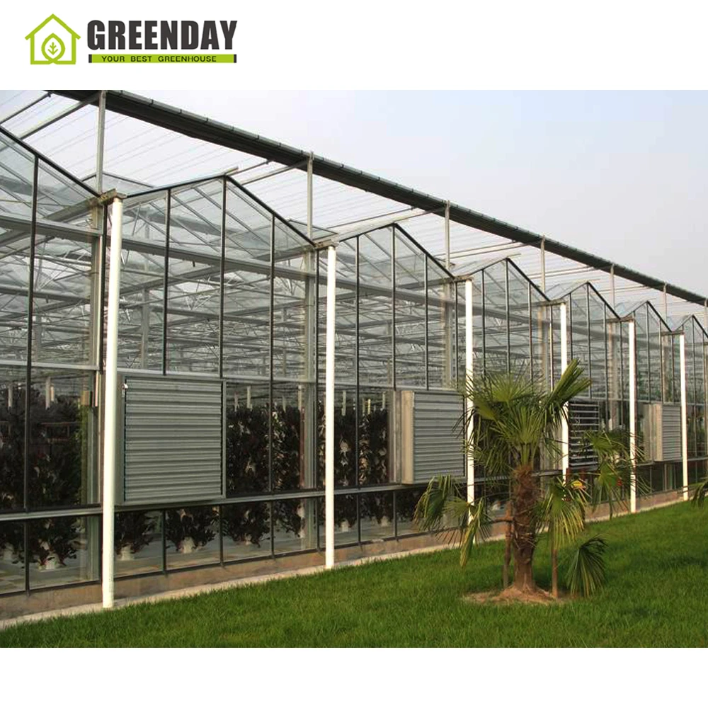 
GREENDAY Large glass windows roof 