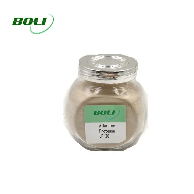 Industrial Grade Alkaline Protease Enzyme