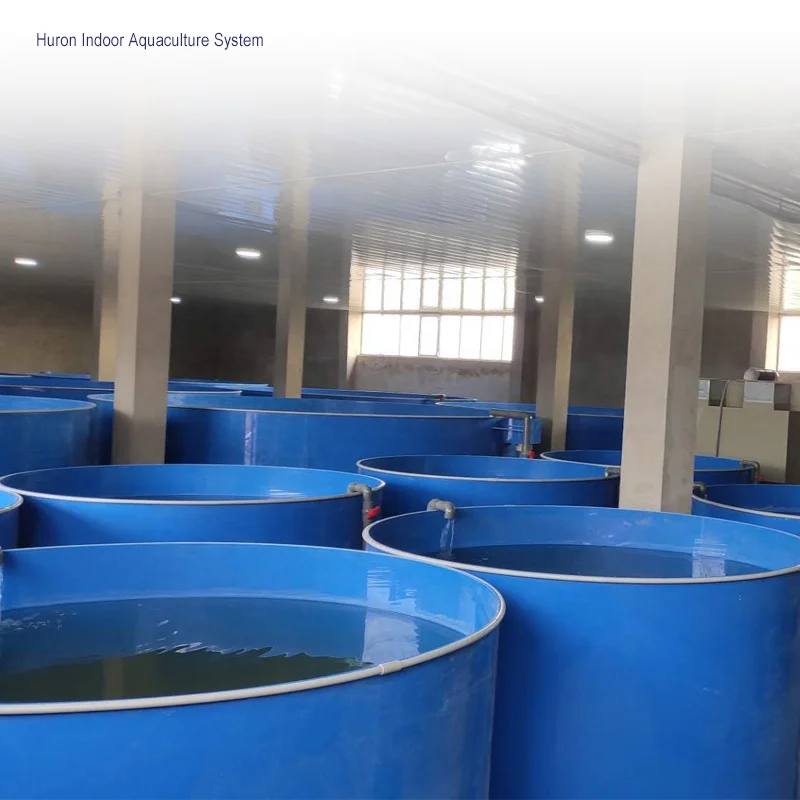 Competitive price China manufacturer custom ras shrimp indoor small aquaculture system for sale