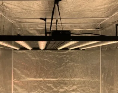 2021 dimmable full spectrum 6 8 10 bars 640 720 800 1000W led grow light for indoor plant greenhouse