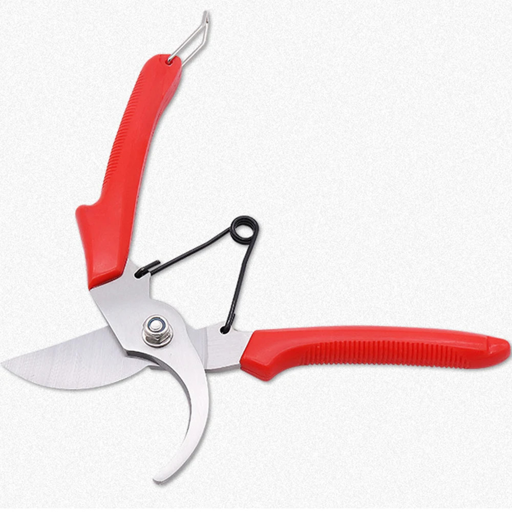 small grape trimming tree seedlings bonsai tools garden scissors pruner