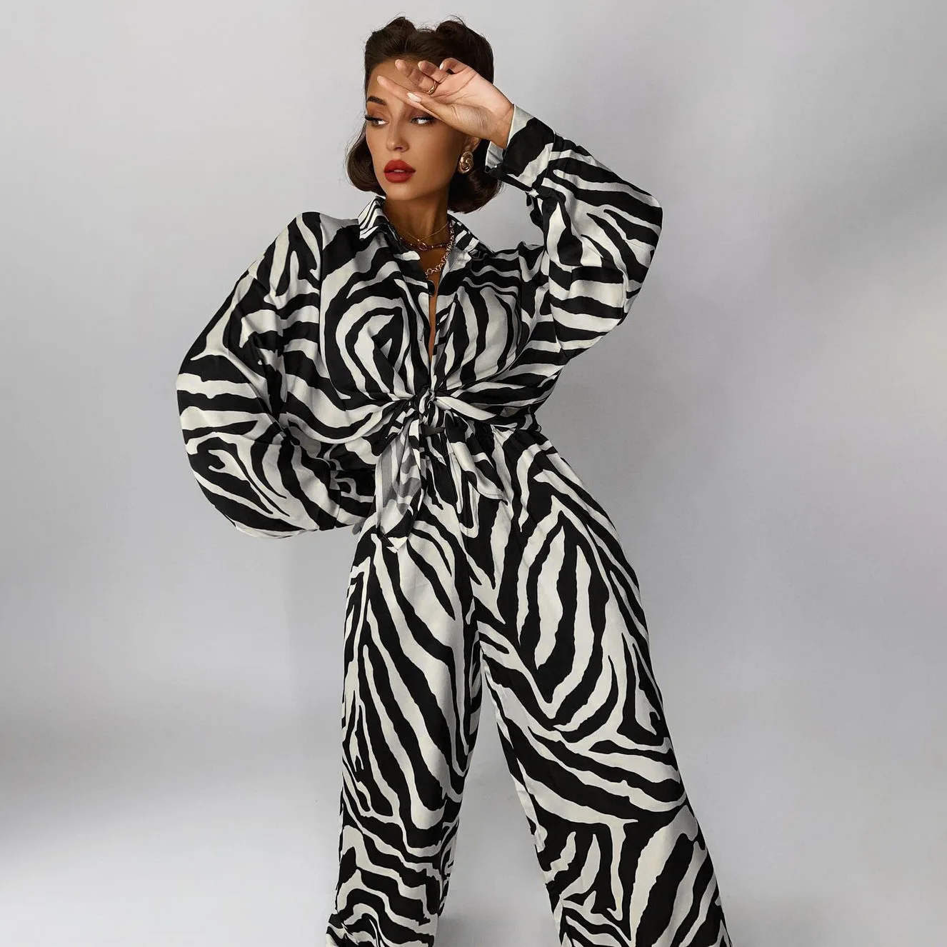 New Product 2022 Spring V Neck Long Sleeve Blouse 2 Piece Sets Zebra Print High Waist Wide Leg Pants Set Women