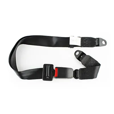 OEM Supplier 2 point removable safety seat belt
