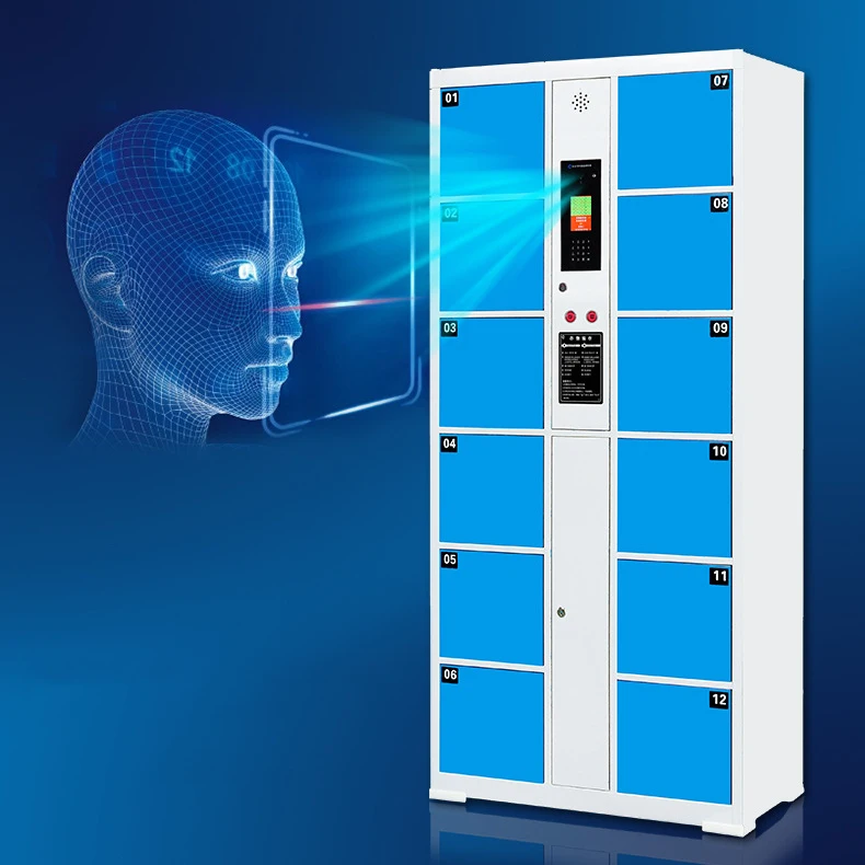 12 Doors Smart Digital Steel Locker Staff System Packages Face Recognition Electrical Cabinet for Residential Area