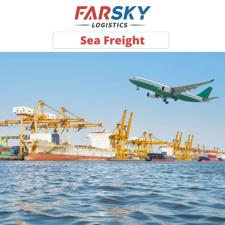 Sea Freight (189)