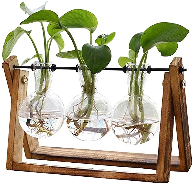 Sample Available Plant Terrarium Desktop Glass Planter Bulb Vases with Retro Solid Wooden Stand Flower Pots Hydroponics Plants