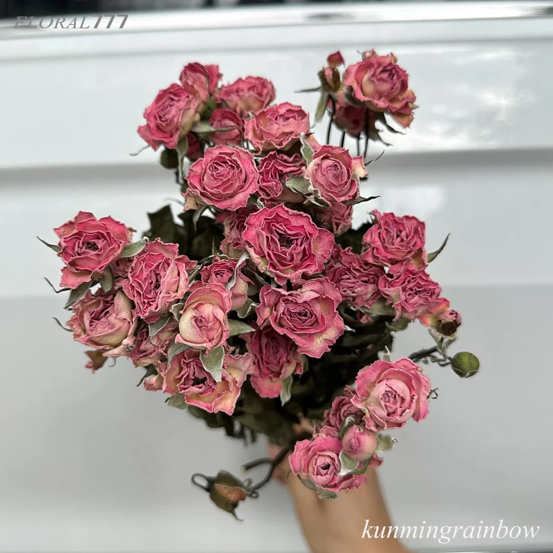 natural dried flowers dried sprayed rose flowers bouquet