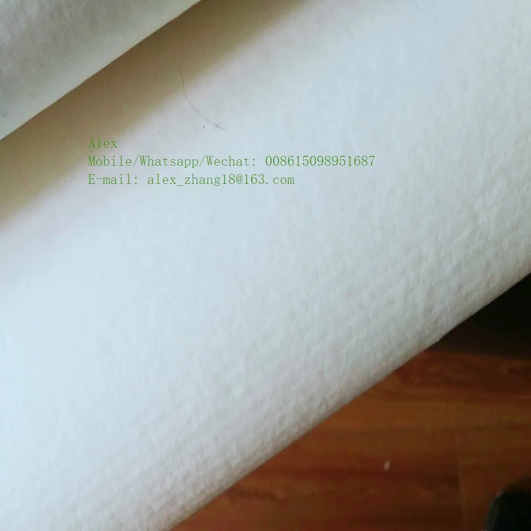 Food Grade Virgin Bleached Biodegradable Sugar Cane Pulp
