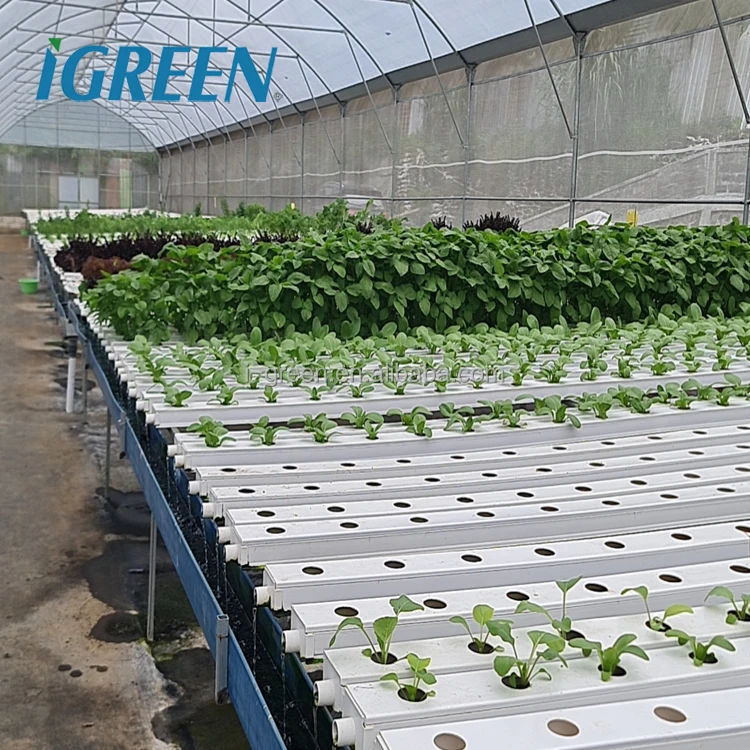 greenhouses from china greenhouse material hydroponic greenhouse for sale
