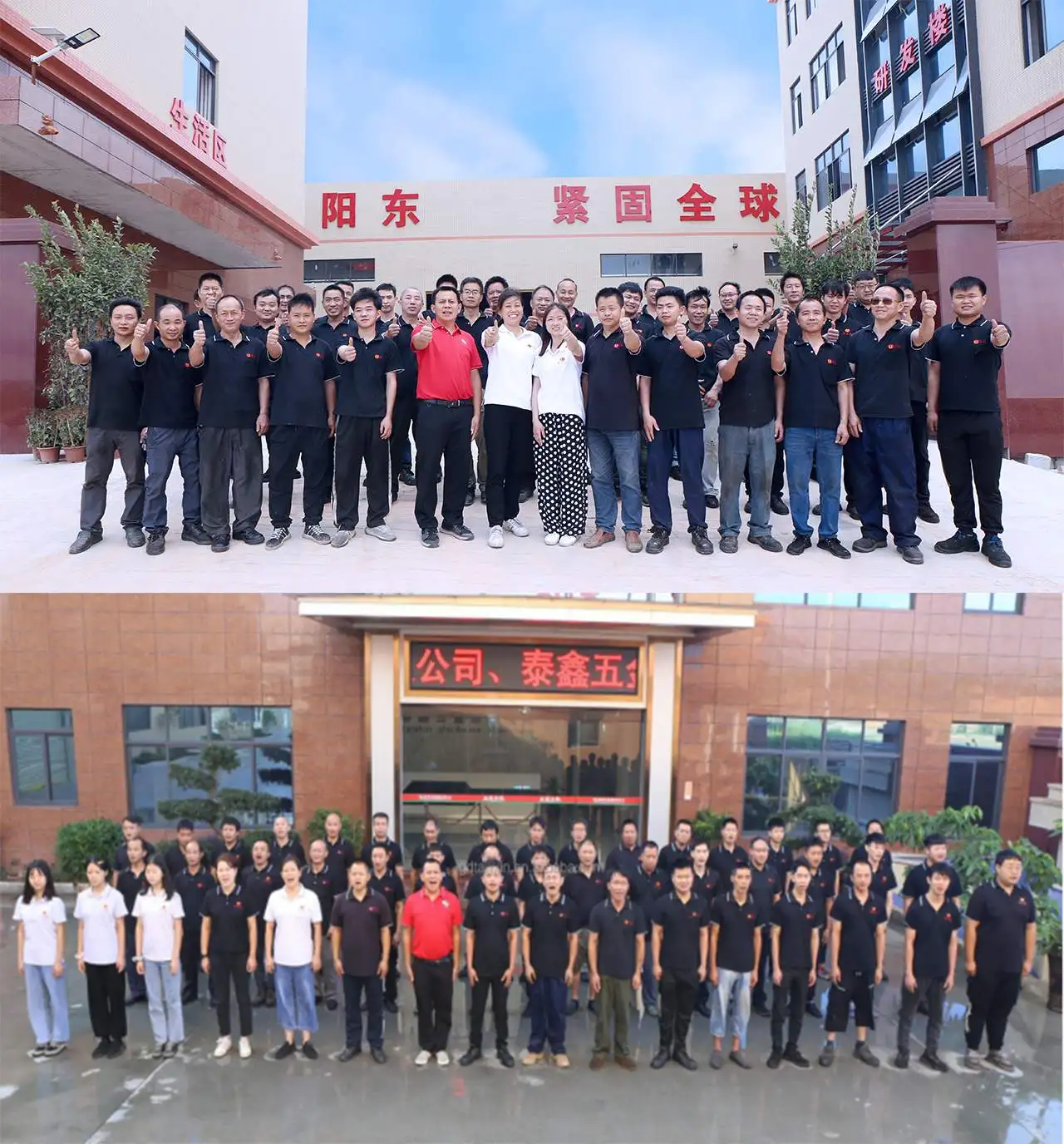 Thumb Knurled Screw Making Machine Price