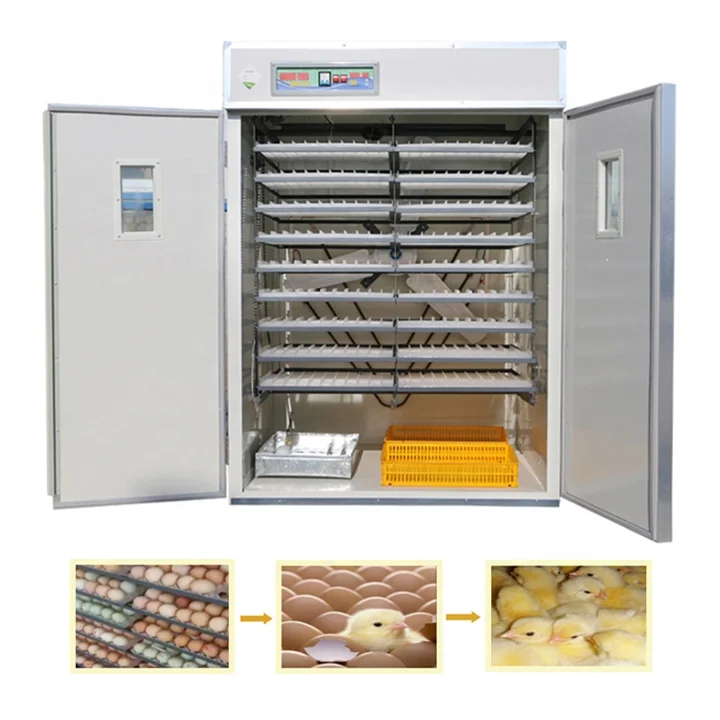 Mini Factory price 56 egg incubator automatic incubator 50 eggs