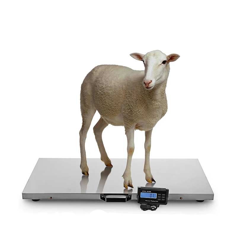Household Stainless Steel Platform Scale Express Postal Livestock Scale 500kg Weighing Digital Pet Scale
