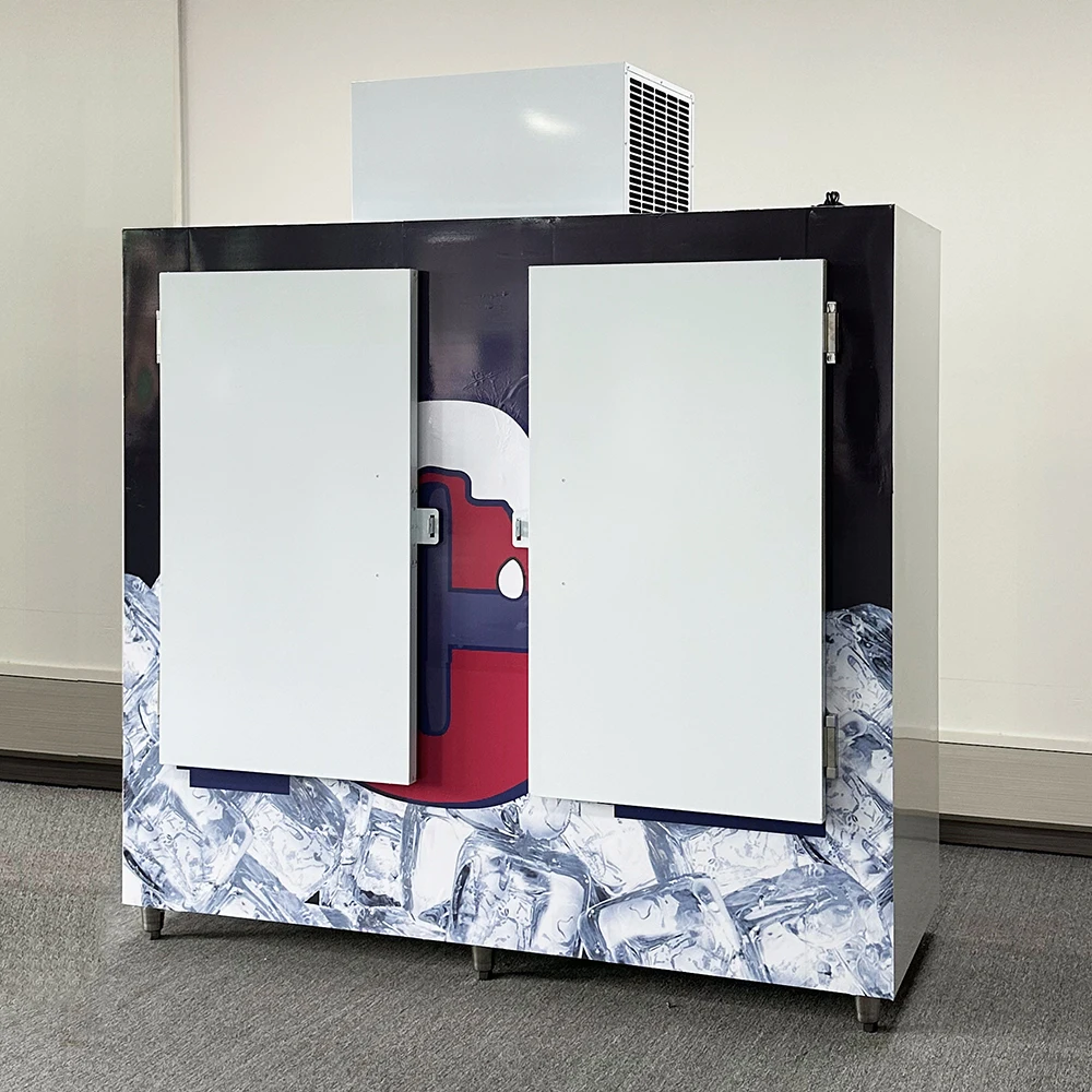 1000L Ice Storage Room Cold Room Freezer For Bag Ice