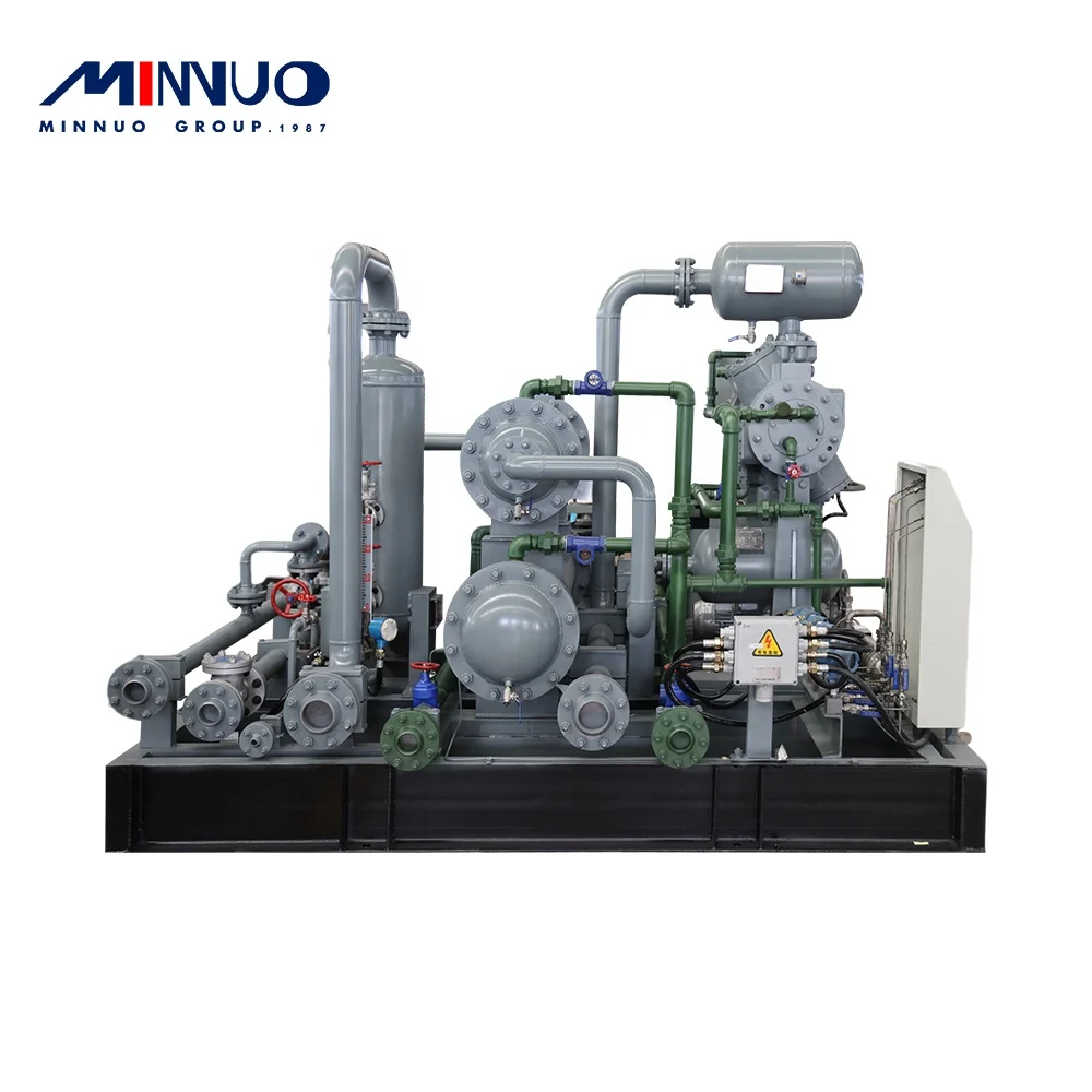 High performance with hot sale hydrogen compressor price For South Africa