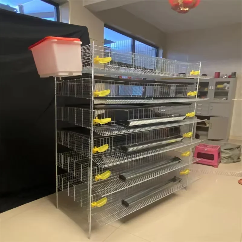 Gaiolas Para Codornas poedeчный