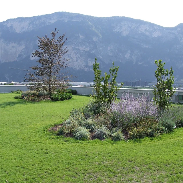 
Organic Vegetable Stock-Cube with Curry 60gr. - Bauer - italian Vegetable Stock-Cube by Trentino cuisine 