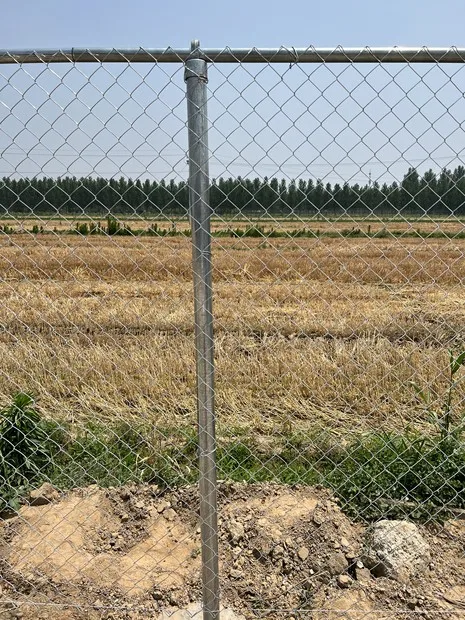 high quality 8ft 7ft Chain Link Fencing For Defense Household Type Black Chain Link Fence Net For Garden Field Farm Animal