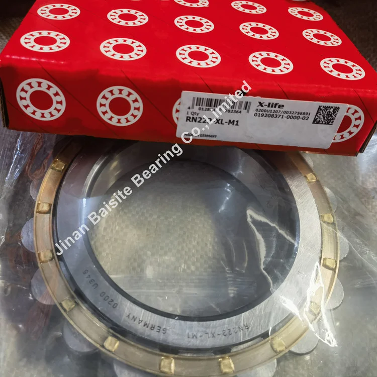 Japan bearings RN222M Eccentric Cylindrical roller bearings RN222 for Reducer