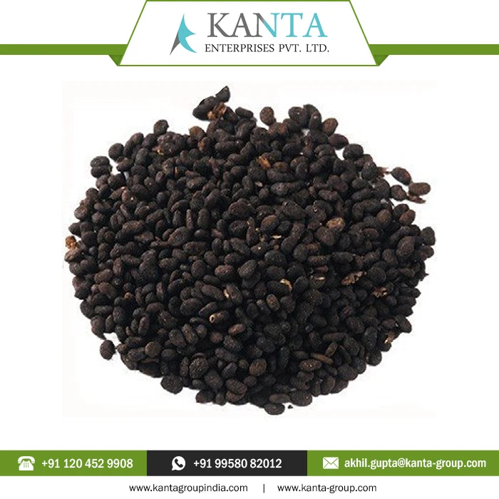 Private Label OEM / ODM Top Quality Carrier Oil  Psoralea Seed Oil at Wholesale Price From Indian Supplier