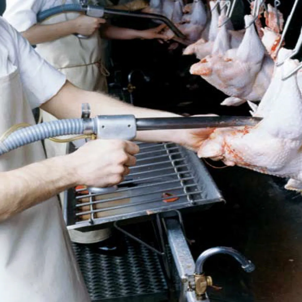 
poultry chicken vacuum lung sucking out machine in slaughterhouse 