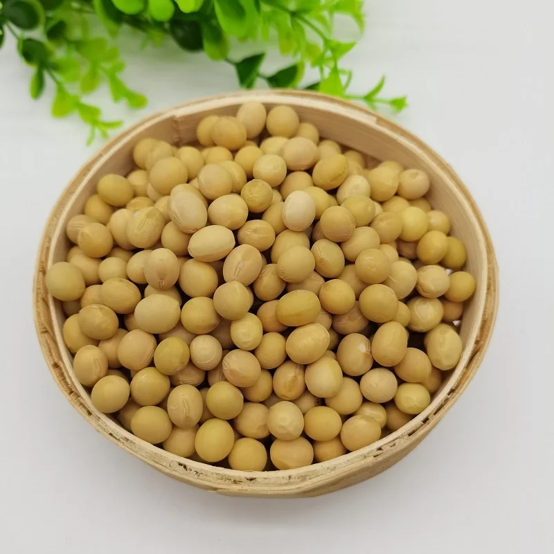 Высококачественные натуральные и без ГМО желтые соевые семена/соевые бобы оптом по низкой цене