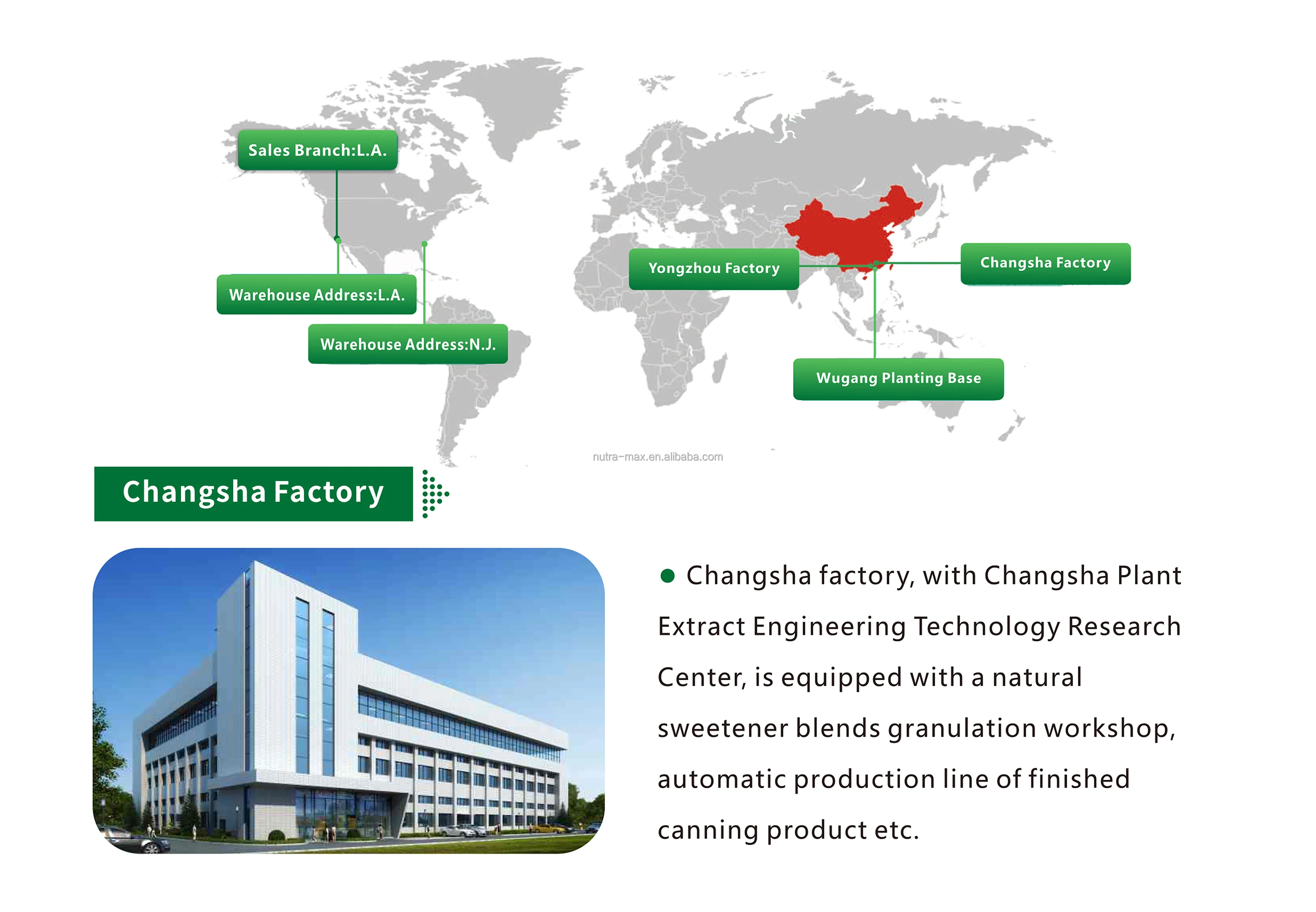 Chinese Factory Supply Dingxiang Cloves Extract Powder Cloves Bud Extract