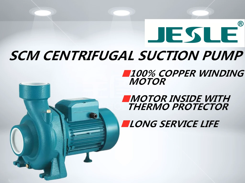 3Inch Thread Port Outlet 3hp 2hp 1.5hp Power SCM80 Big Capacity Horizontal Electric Centrifugal Standard Industrial Water Pump