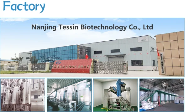 High Quality From China Yeast Manufacturer Beer Yeast Powder animal feed additive
