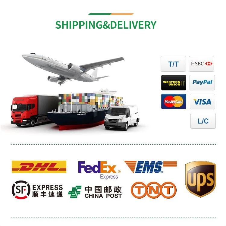 Amazon Stainless Steel 304 Multifunction Grater Zester For Cheese /Lemon/Ginger/ Chocolate