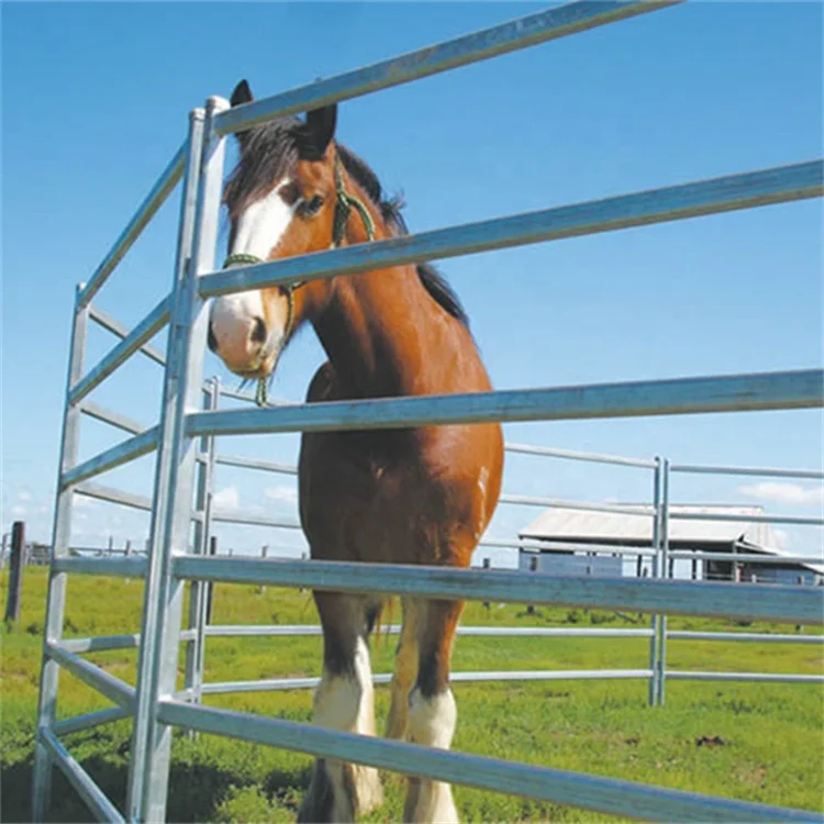 5ft 6ft 7ft 8ft galvanized ranch cattle horse fence panels