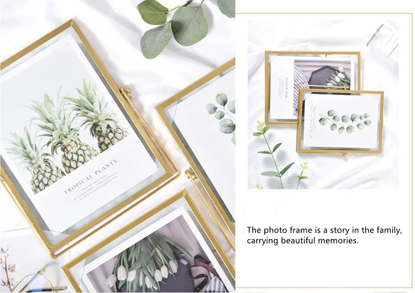 Dongjin Metal Glass Frame Double Sides Photo for Dried Flower Plants Holder