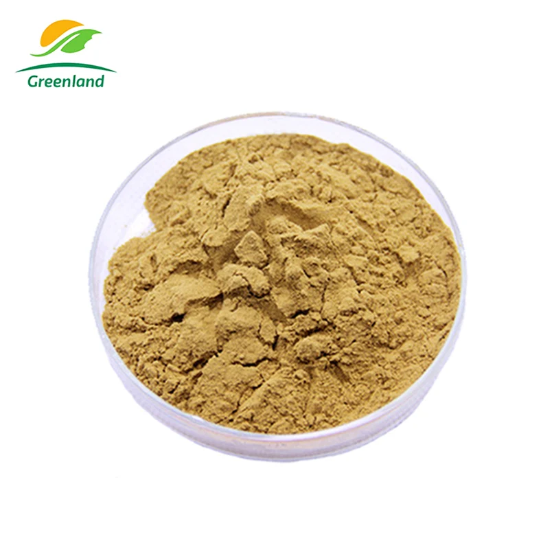 Chinese Ivy Shampoo Herb Extract Powder For Ivy Leaf Cough Prospan Syrup