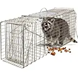 Easy to Use and Humane X-Large Animal Trap for Large Critters | Double Door Live Traps for Cats, Racoons, Groundhogs, Opossums