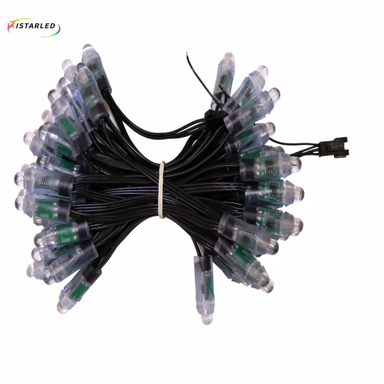 Рождественская уличная Водонепроницаемая Радужная цветная светодиодная Пиксельная лента постоянного тока 5 в 12 В мм Ws2811 Ws2812 черная Rgb модифицируемая лампа