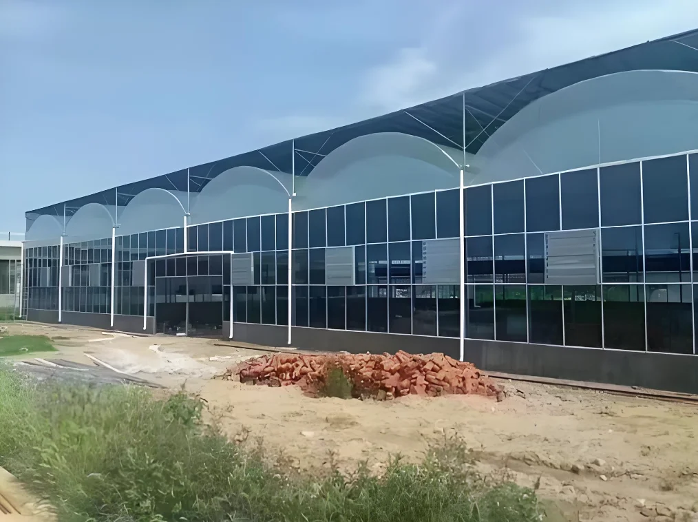 Glass multi-span greenhouse Intelligent Hydroponic Growing Systems Greenhouse from China factory
