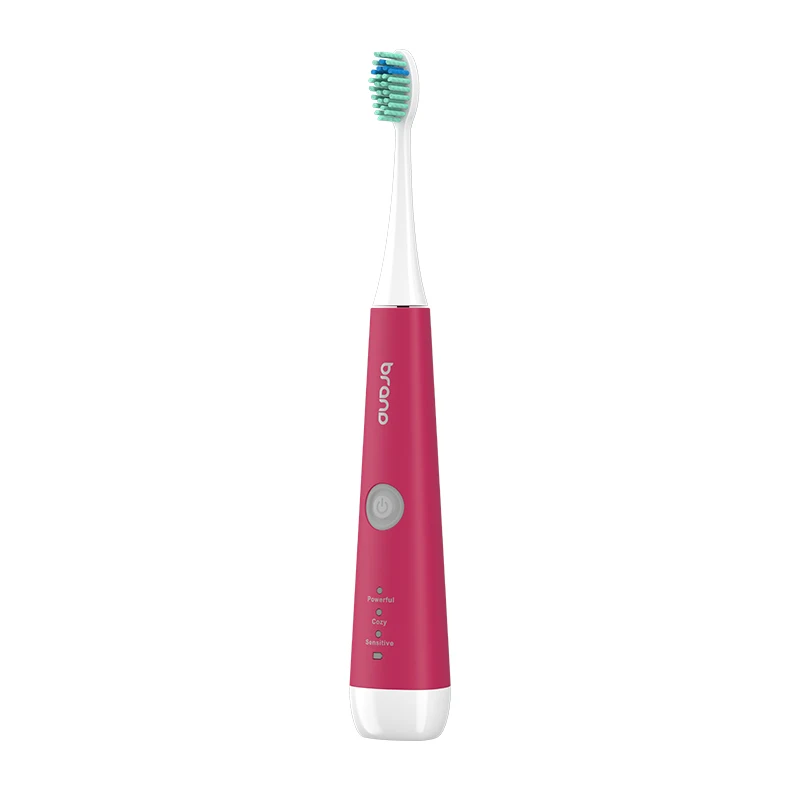 Sonic Electric Toothbrush Oral Cleaning Whitening Teeth Brush Electric Toothbrush