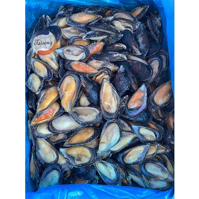 Good Sale Seafood Shell Fish Frozen Blue mussel meat