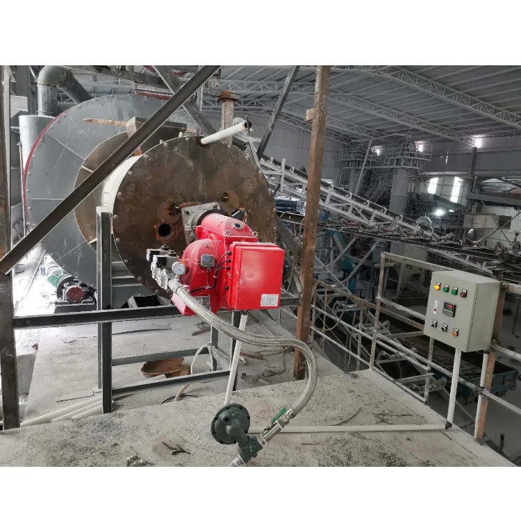 BAILI 2.5 million kcal natural gas liquefied gas biogas propane burner fertilizer firewood quartz sand food drying