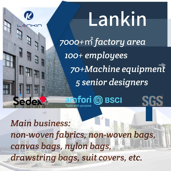 Wholesale 6 Bottles Customized Pp Foldable Reusable Economic Eco Carrier Gift Bag Non Woven Wine Wine Glass Tote Bags With Logo