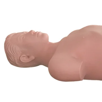 ADA Medical Teaching Lymph Node Puncture Training and Assessment Model and Maxillary Sinus Puncture Training Model