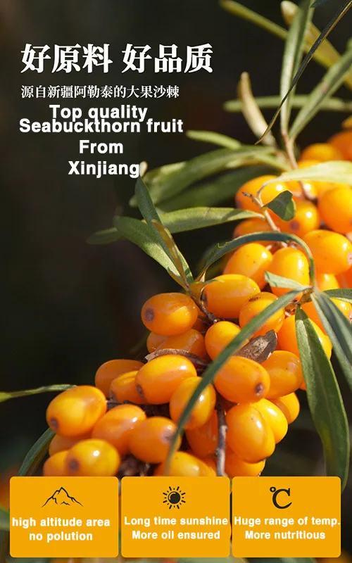 Manufacturer Sea Buckthorn Extract Oil Organic Seabuckthorn Whole Fruit Freeze Dried Powder Wholesale China Food Sunset Yellow