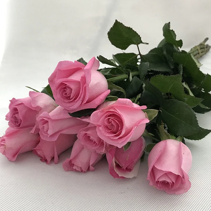 
Hot Selling Artificial Multiple Styles Blue Fresh cut Roses flowers For Wedding Party Club Ornament 