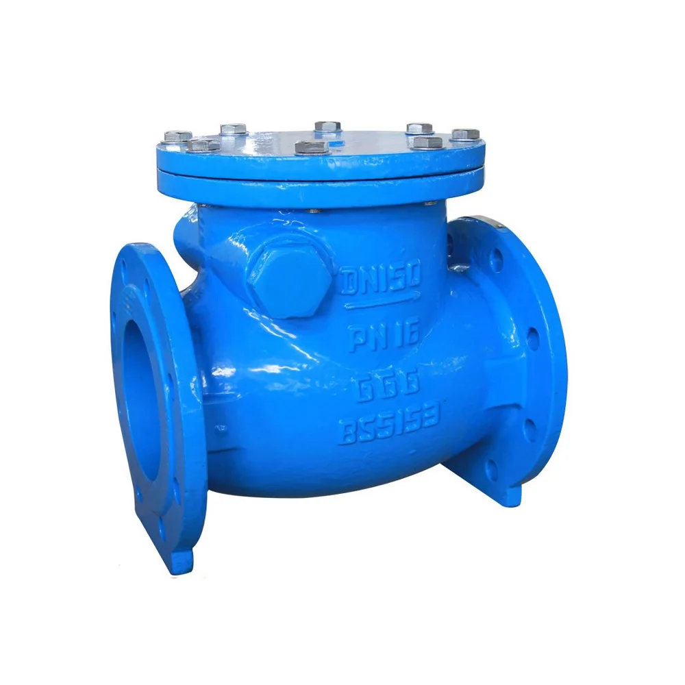 Factory Hot Selling DN80 PN16 Flanged Type Ductile Iron Swing Check Valve