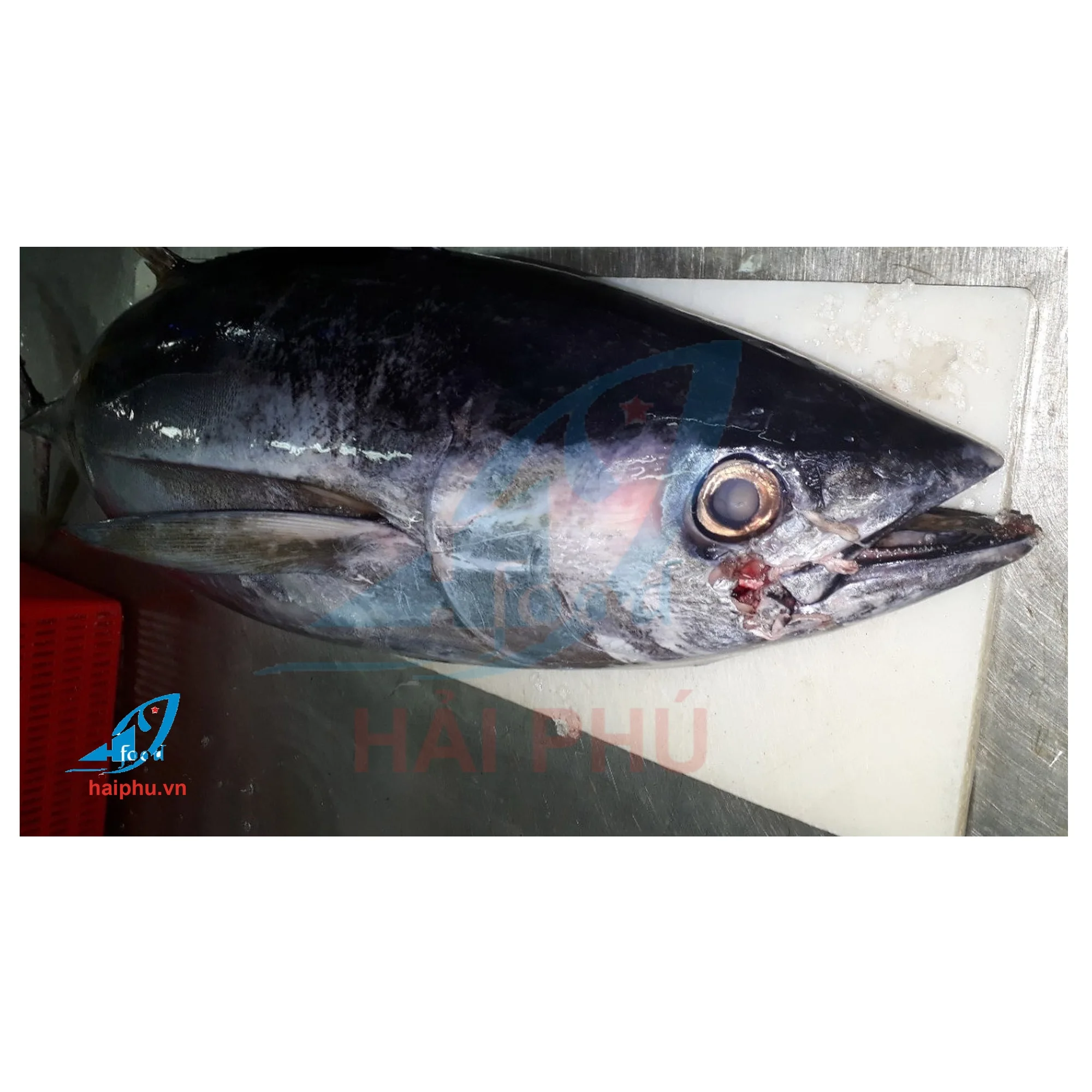 Новинка, свежий желтоватый тунец от компании Hai Phu, вкусный вкус во Вьетнаме