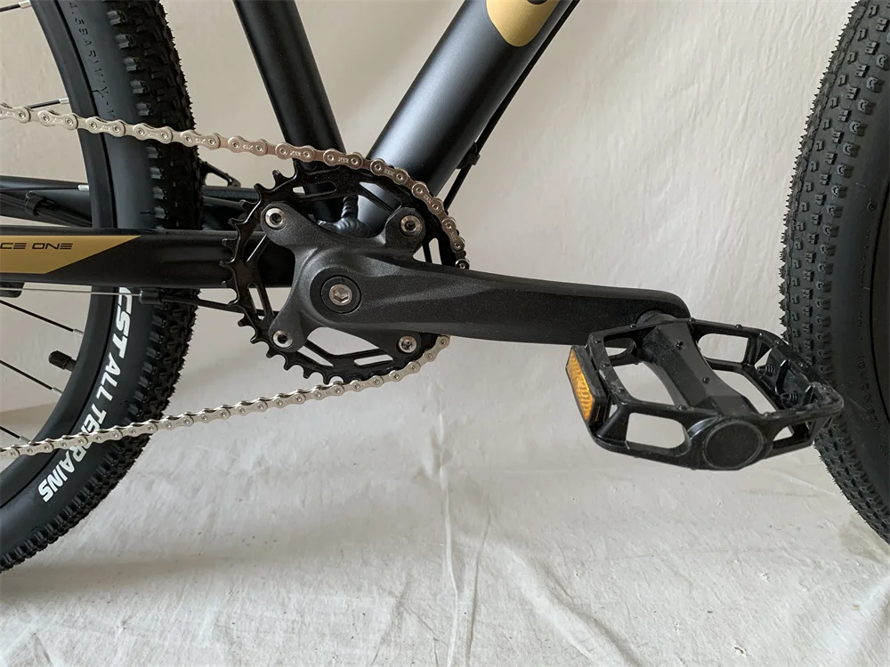 29 Inch Alloy Mountain Bicycle Oil Brake Bike 12 Speed Bicicleta