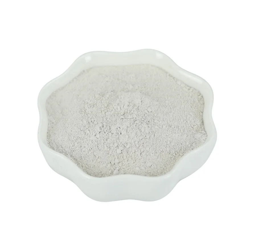 Food grade soft kieselguhr diatomite powder chemical diatomaceous earth filter aid diatomite ore paint raw material