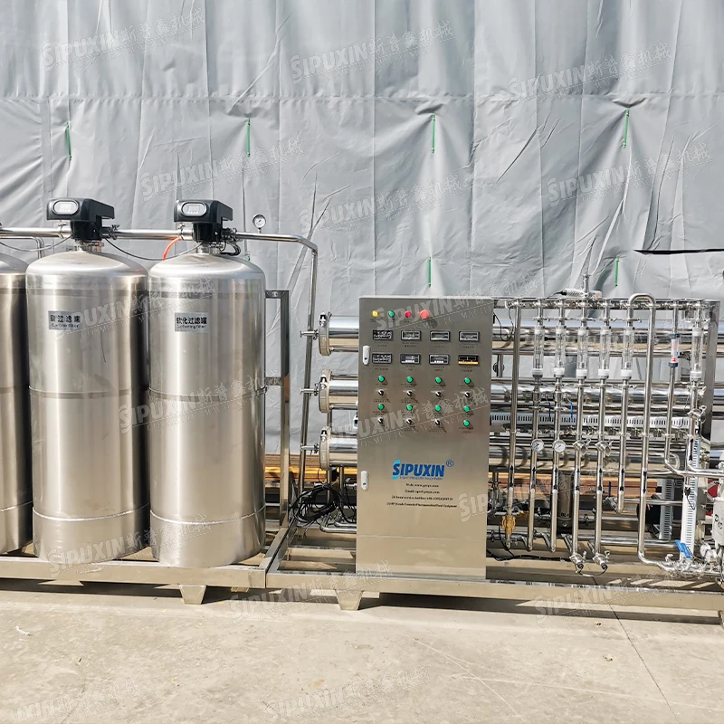 SPX New  2 stage water filter RO plant water treatment