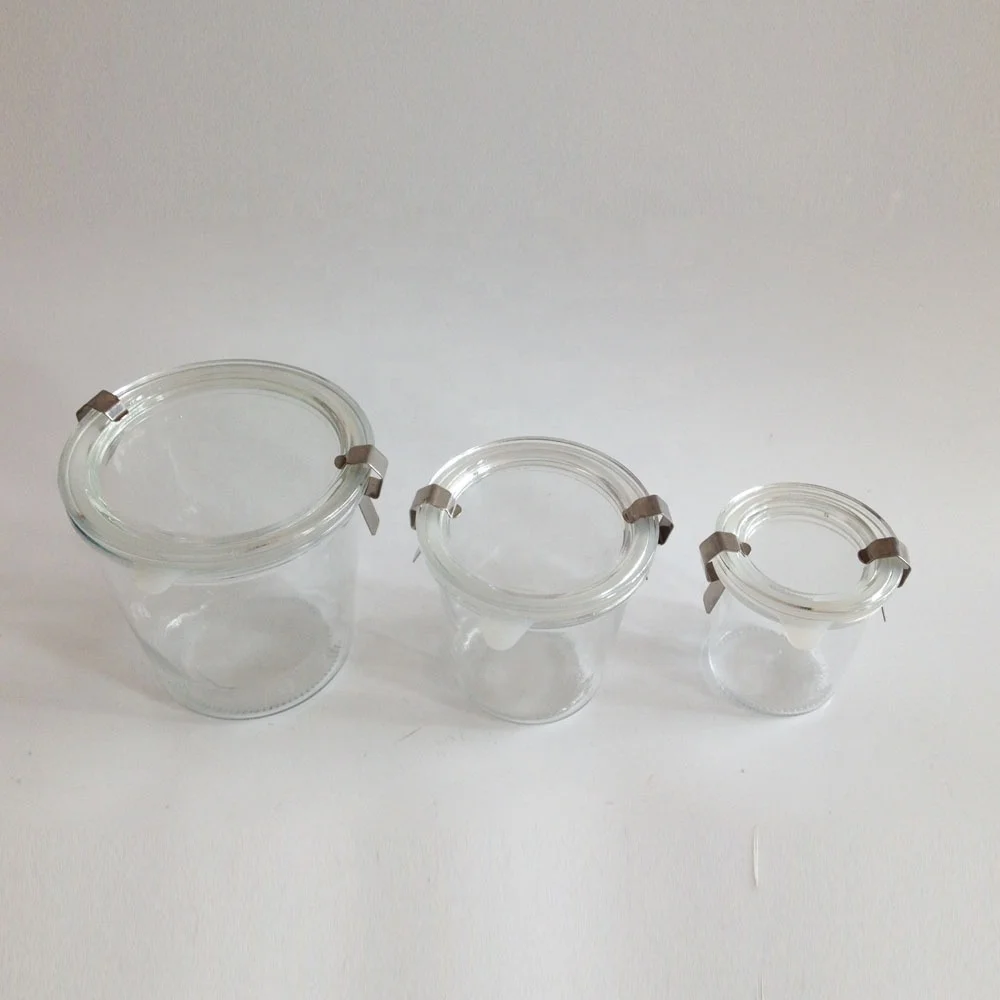125ml 250ml 540ml lock lid glass jars with sealed silicone rubber gasket ring