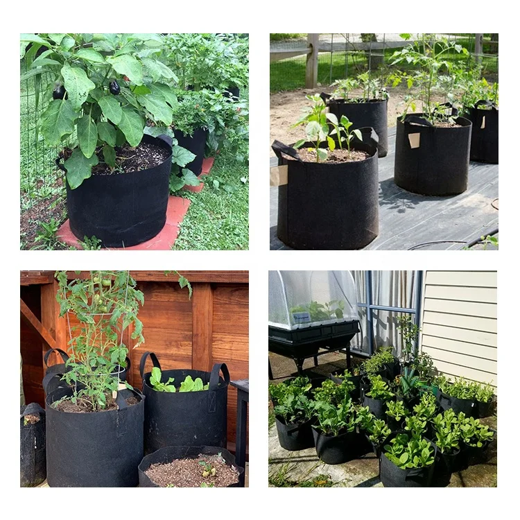 3 Gallon  300g Fabric Plant Grow Bags Fabric Flower Planter Pots Seedling Vegetable Grow Bags