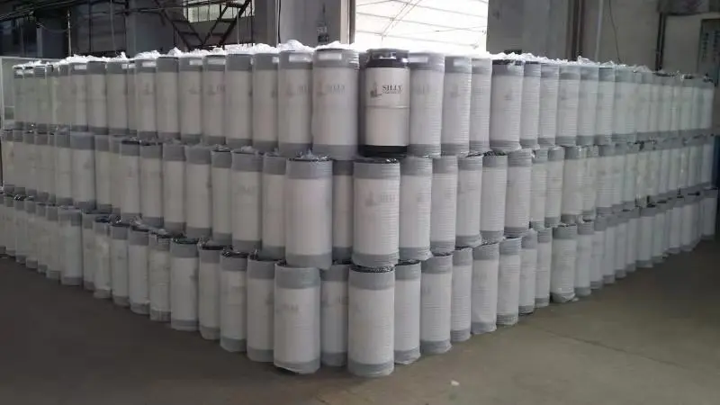 
304 stainless steel quarter half Kegs 1/6 barrel keg 20L with A or S fitting US barrel rubber handle US barrel 20L beer keg 